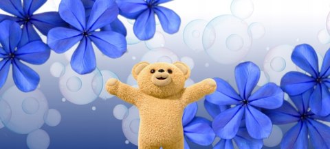 Coccolino Perfume&Care Płyn do płukania Passion Flower&Bergamot 1,6l