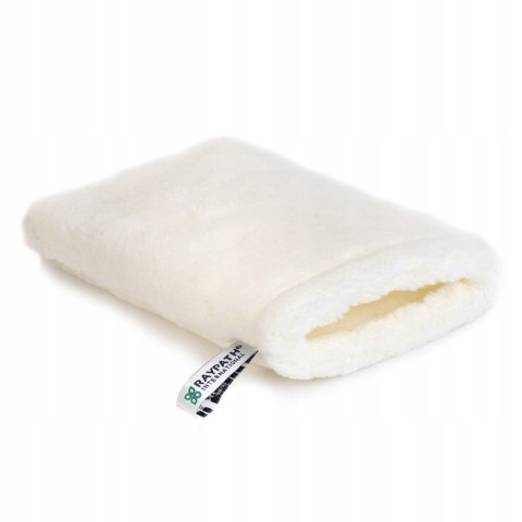 Zestaw do mycia okien Raypath rękawica sunbeam 60x60 mydło + express 25cm