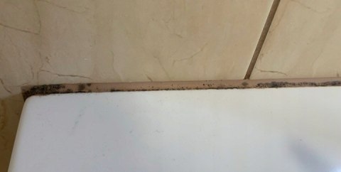 HAP WIN Pleśń 1L Środek do Usuwania Pleśni i Grzybów Bez Szorowania Mocny