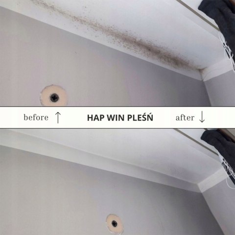 HAP WIN Pleśń 1L Środek do Usuwania Pleśni i Grzybów Bez Szorowania Mocny