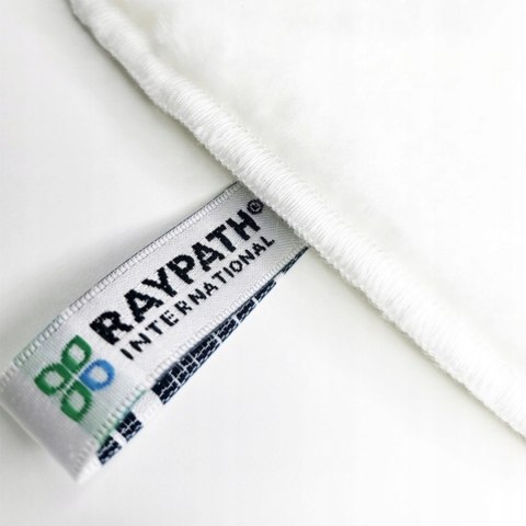 Raypath Zestaw CAR SAMOCHODOWY czyszczenie auta bez chemii wnętrze lakier