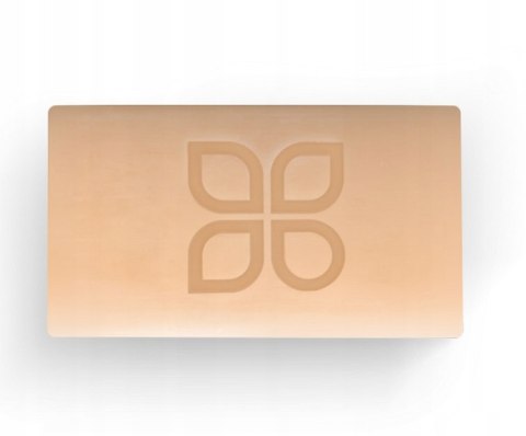 Raypath Zestaw do mycia okien Expres 25 cm + Sunbeam + mydełko nanosrebrem