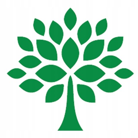 Raypath płyn do prania czarnego i ciemnych tkanin NanoSrebrem BLACK 0,5 l