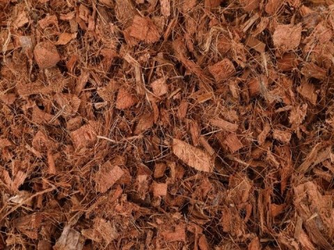 BIOVITA COCO CHIPS CHIPSY PODŁOŻE KOKOSOWE ZRĘBKI WŁÓKNO ROZLUŹNIONE 5L