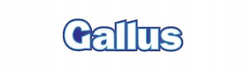 GALLUS Pasta BHP 5L Do Mycia Rąk Silne Zabrudzenia Warsztatowa