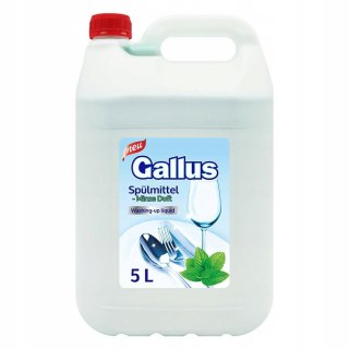 GALLUS Płyn do Naczyń 5L Mięta