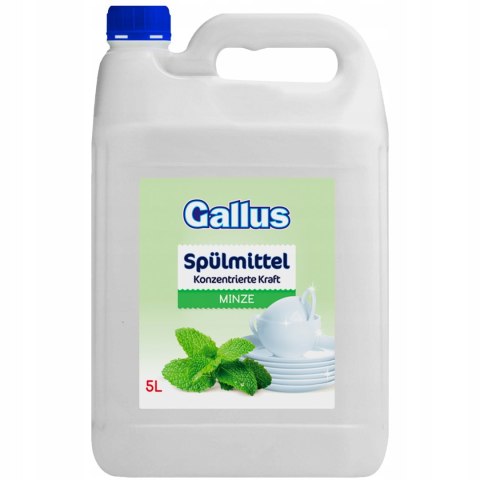 GALLUS Płyn do Naczyń 5L Mięta