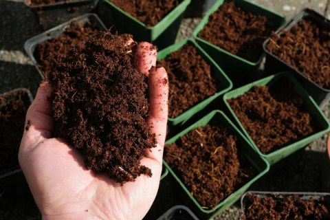 Ziemia Do Palm Juk Dracen Podłoże Do Roślin Zielonych Z Nawozem Biovita 5L