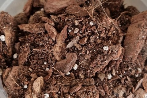 Ziemia podłoże do storczyków orchidei BIOVITA 3L
