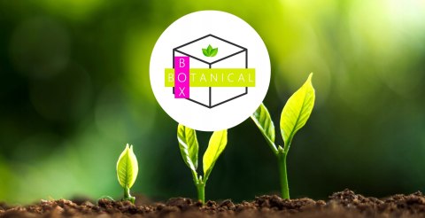 Ziemia podłoże do storczyków orchidei BIOVITA 3L