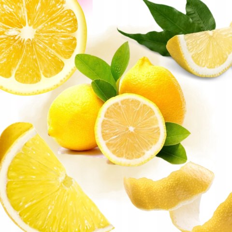 FAIRY Wkłady chusteczki nawilżane do mopa ścierki 50szt Lemon cytryna