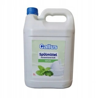 GALLUS Płyn do Naczyń 5L Mięta