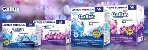 GALLUS Professional Proszek 26 Prań 1,3kg Color