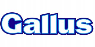 GALLUS Spray 750ml Meble/Möbel-Pflege (12)