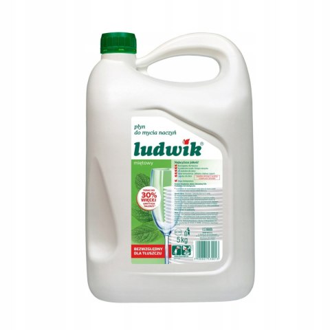 LUDWIK Plyn do naczyn duży zapaz 5L Mieta