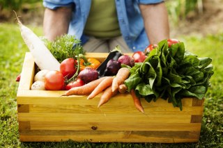 Obornik kurzy granulowany Optima naturalny NAWÓZ BIOVITA ROŚLIN WARZYW 10L