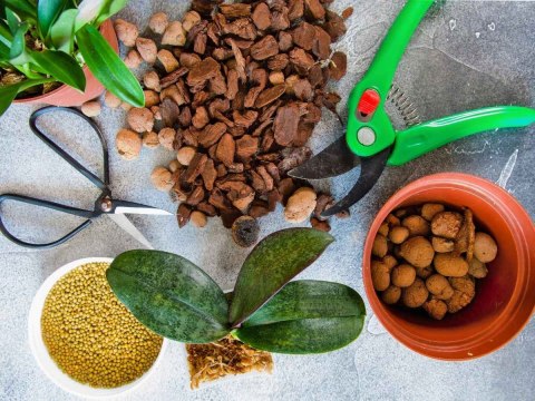 Ziemia Naturalne Podłoże Do Storczyków Orchidei 3L Biovita
