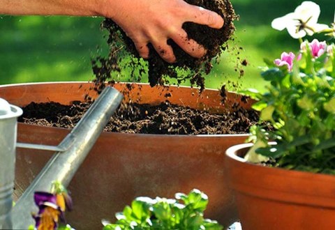 Ziemia uniwersalna Biovita do kwiatów DOMOWYCH ZIELONYCH ROŚLIN 5L