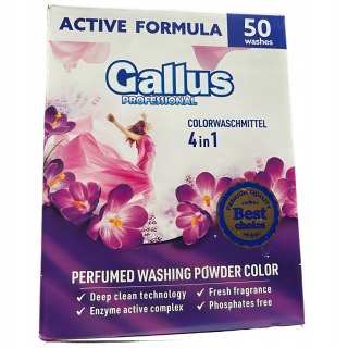 GALLUS Professional Proszek 50 Prań 2,5kg Color