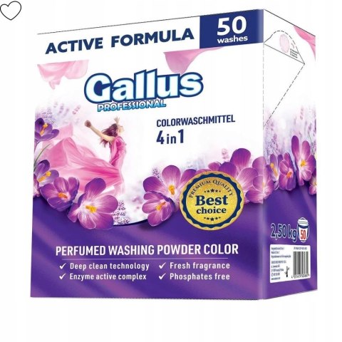 GALLUS Professional Proszek 50 Prań 2,5kg Color