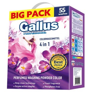 GALLUS Professional Proszek 55 Prań 3,05kg 4in1 Color
