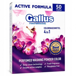 Gallus Professional 4in1 Proszek do Prania 2,5kg Kolor