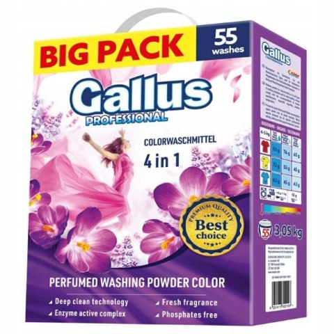 Gallus Professional 4w1 Proszek do Prania Kolor i Biel 6,05 kg 110 Prań