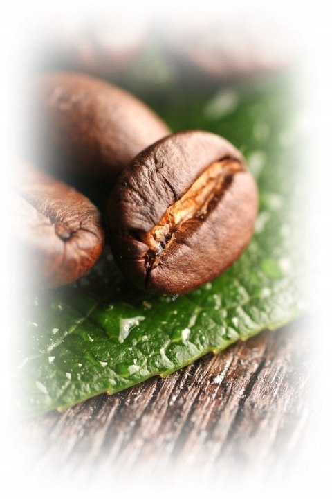 Kawa ziarnista 1kg mieszana Kimbo Espresso Bar Prestige 1000 g