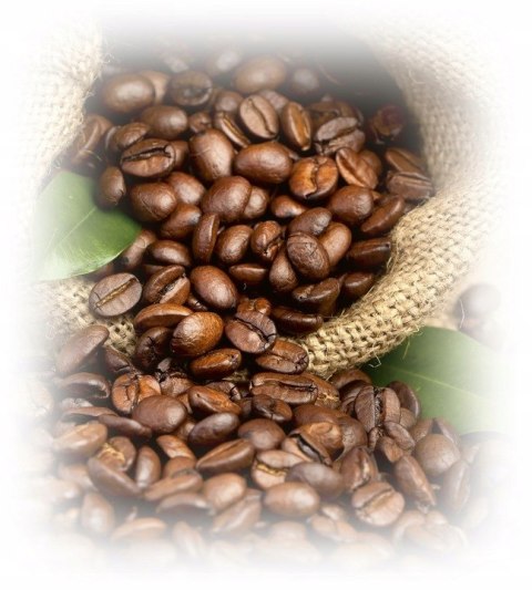 Lavazza Expert Gusto Forte kawa ziarnista 100% Robusta ziarno ekspres 1 kg