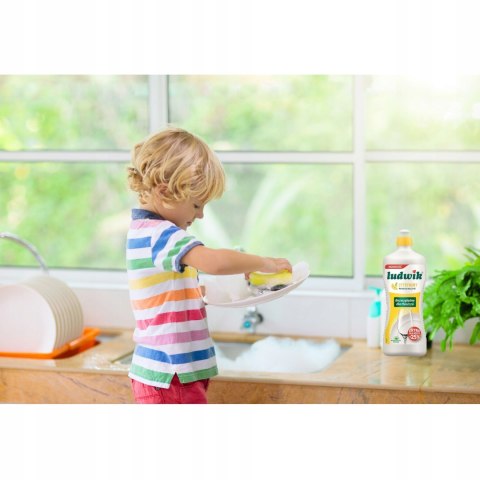Płyn do mycia naczyń Ludwik cytrynowy 0,9 l
