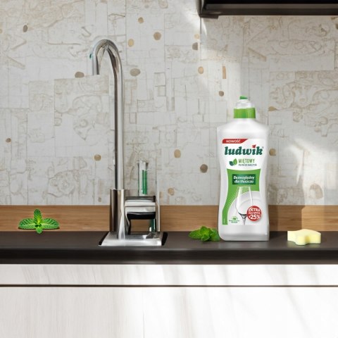 Płyn do mycia naczyń Ludwik miętowy 0,9 l