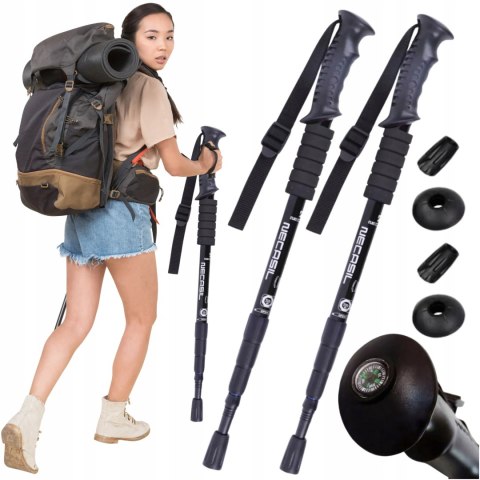 KIJE KIJKI DO CHODZENIA PO GRÓRACH NORDIC WALKING REGULOWANE TREKKINGOWE 2x