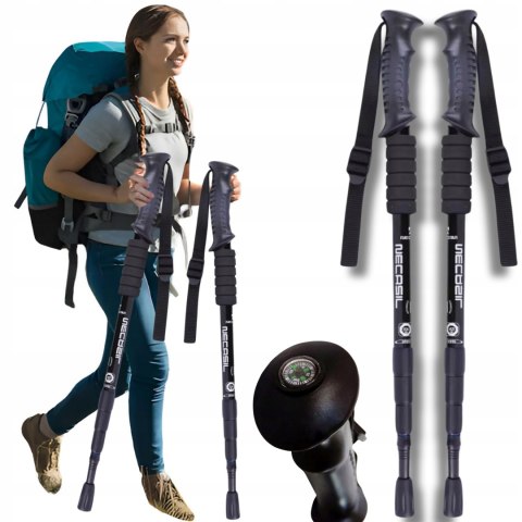 KIJE KIJKI DO CHODZENIA PO GRÓRACH NORDIC WALKING REGULOWANE TREKKINGOWE 2x