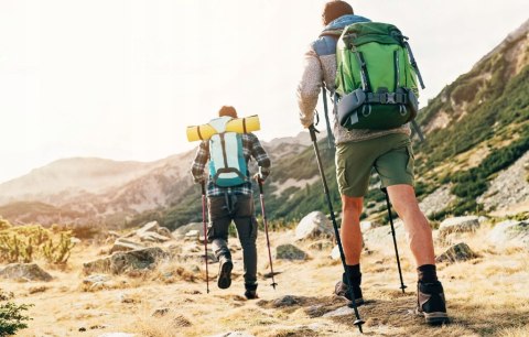 KIJE KIJKI DO CHODZENIA PO GRÓRACH NORDIC WALKING REGULOWANE TREKKINGOWE 2x