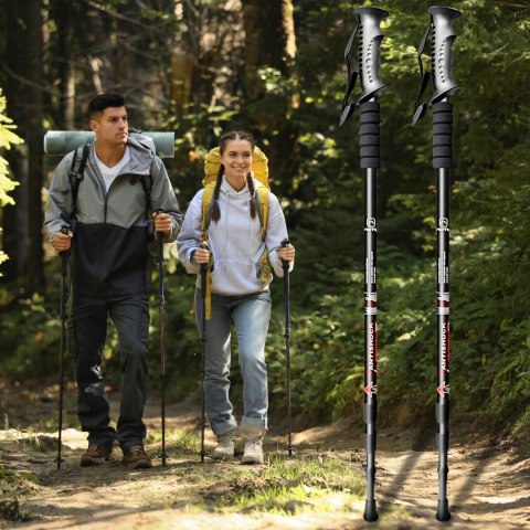 KIJE KIJKI DO CHODZENIA PO GRÓRACH NORDIC WALKING REGULOWANE TREKKINGOWE 2x