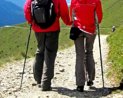 KIJE KIJKI DO CHODZENIA PO GRÓRACH NORDIC WALKING REGULOWANE TREKKINGOWE 2x