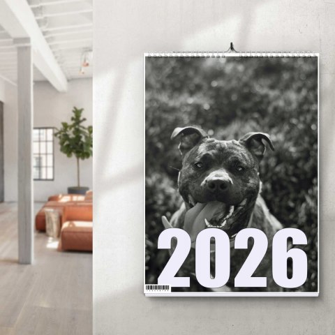 KALENDARZ PITBULL 13 ZDJĘĆ NA ŚCIANĘ A4 ŚWIĘTA NIEDZIELE HANDLOWE