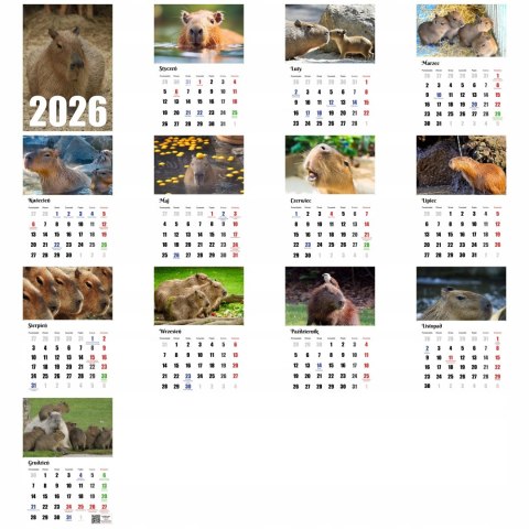 KALENDARZ KAPIBARA 13 ZDJĘĆ NA ŚCIANĘ A3 ŚWIĘTA NIEDZIELE HANDLOWE
