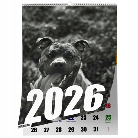 KALENDARZ PITBULL 13 ZDJĘĆ NA ŚCIANĘ A3 ŚWIĘTA NIEDZIELE HANDLOWE