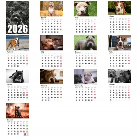 KALENDARZ PITBULL 13 ZDJĘĆ NA ŚCIANĘ A3 ŚWIĘTA NIEDZIELE HANDLOWE
